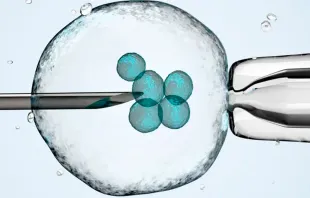 La Corte Suprema del estado de Alabama (Estados Unidos), dictaminó que los embriones creados mediante fertilización in vitro (FIV) son niños humanos. Crédito: Shutterstock.