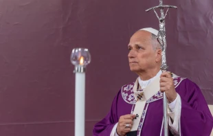 Papa León XIV en desde el Cementerio del Verano en Roma. Crédito: Daniel Ibáñez / EWTN