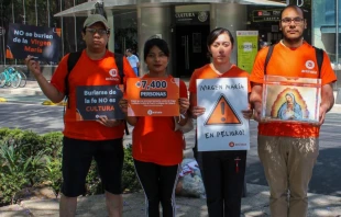 Entrega de firmas en la Secretaría de Cultura Crédito: Actívate