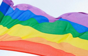 Imagen referencial del movimiento LGBTI y la ideología de género. Crédito: Pexels.