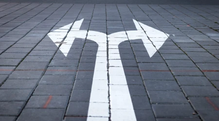 Flecias - discernimiento