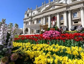La Plaza de San Pedro y la Basílica del Vaticano serán un jardín de flores en Semana Santa