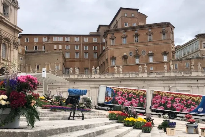 Miles de flores llegan desde Holanda al Vaticano para el Domingo de Pascua