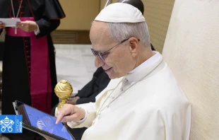 El Papa León XIV realizó personalmente el primer acceso al sistema. Crédito: Vatican Media
