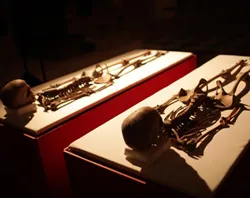Los restos óseos (foto National Geographic)?w=200&h=150
