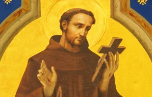 San Francisco de Asís Crédito: Renata Sedmakova - Shutterstock