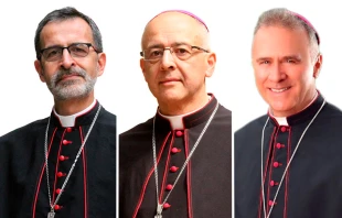 Mons. Francisco Javier Múnera, Mons. Gabriel Ángel Villa Vahos y Mons. Germán Medina Acosta. Crédito: CEC.