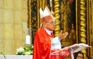 Mons. Francisco Ozoria Acosta, Arzobispo de Santo Domingo. Crédito: Arquidiócesis de Santo Domingo.