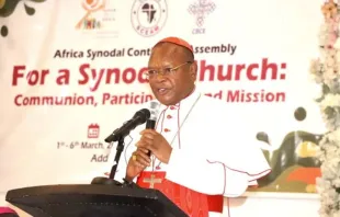 Cardenal Fridolin Ambongo, presidente del Sínodo de Conferencias Episcopales de África y Madagascar (SECAM). Crédito: SECAM