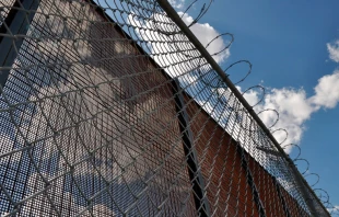 Imagen referencial / Foto: Flickr Jonathan mcintosh (CC BY 2.0) 