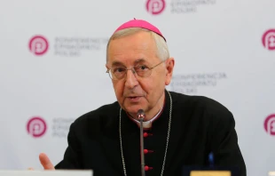 Mons. Stanislaw Gadecki, Arzobispo de Poznan y presidente de la Conferencia Episcopal Polaca Crédito: INM