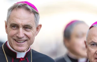 Mons. Georg Gänswein. Crédito: Daniel Ibáñez / EWTN News.