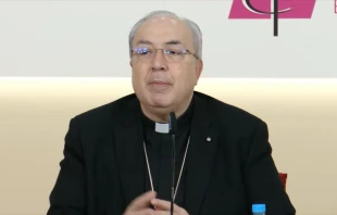 Mons. Francisco César García Magán, secretario general de la CEE. Crédito: CEE.