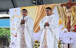 El P. Juan Antonio y el P. José Antonio Licona Vite el día de su ordenación sacerdotal. Crédito: Cortesía hermanos Licona Vite