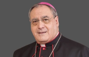 El Arzobispo de Granada, José María Gil Tamayo. Crédito: Archidiócesis de Granada.