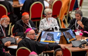 Uno de los círculos menores del Sínodo en 2023. Crédito: Daniel Ibáñez / EWTN News