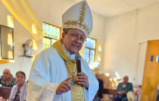 Mons. Joel Ocampo Gorostieta. Crédito: Diócesis de Ciudad Altamirano