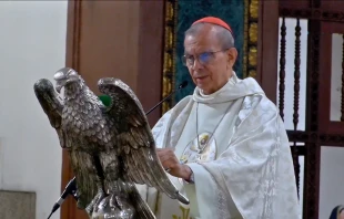 Cardenal Gregorio Rosa Chávez. Crédito: Arzobispado de San Salvador