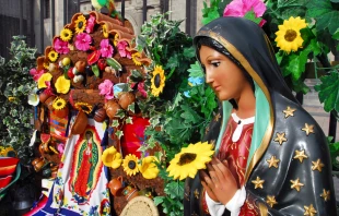 Virgen de Guadalupe Crédito: Valente Romero - Shutterstock