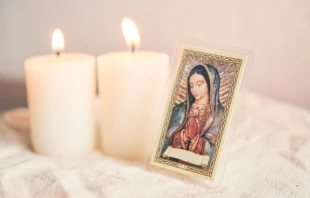 null Crédito: Fabian Montano Hernandez/Shutterstock.