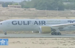 Aviu00f3n que lleva al Papa y periodistas de regreso a Roma. Cru00e9dito: Captura Vatican Media 