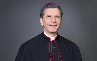 Mons. Gustavo García-Siller, Arzobispo de San Antonio. Crédito: Veronicamarkland (CC BY-SA 4.0)