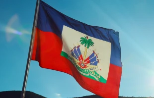 Bandera de Haití. Crédito: Mario De Moya F / Canva