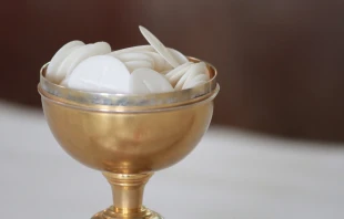 Imagen referencial de hostias consagradas. Crédito:  Gini George / Pixabay.