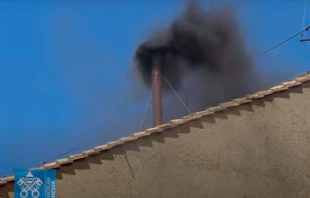 Fumata negra en la mañana del segundo día del cónclave. Crédito: Vatican News (captura de video)