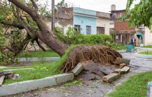 Árboles caídos al suelo, daños por el huracán Irma a su paso por la isla de Cuba, 10 de septiembre de 2017. Crédito: Julio Rivalta/Shutterstock