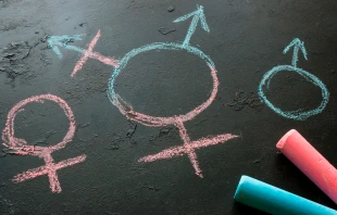 Imagen referencial. Crédito: itakdalee / Shutterstock.