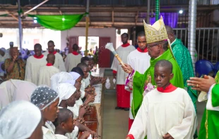 Un obispo dirigiéndose a un grupo de católicos durante una homilía en Onitsha, Estado de Anambra, Nigeria. 27 de enero de 2025. Crédito: GOALLORD-CREATIVITY - Shutterstock