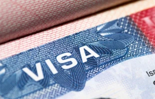 null Crédito: Vinokurov Kirill/Shutterstock.