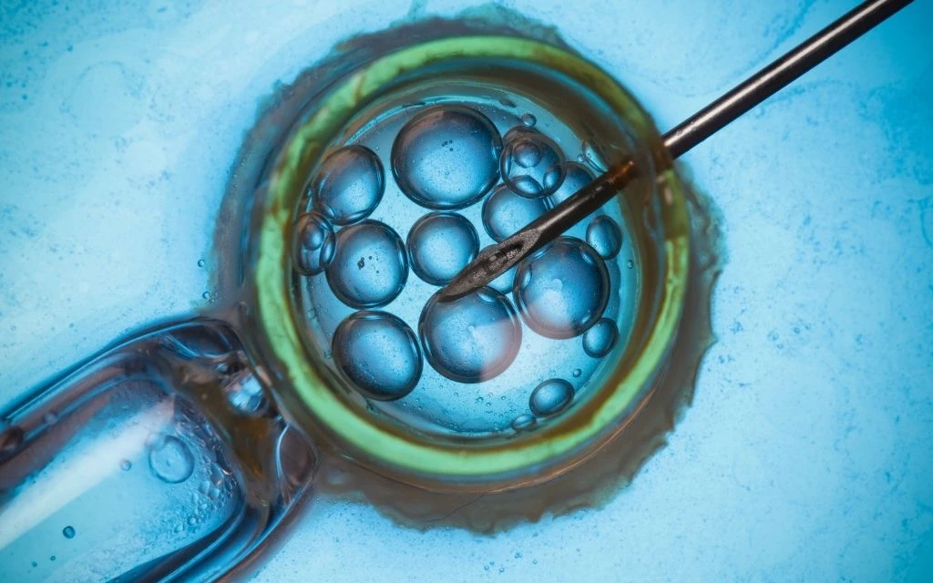 Fecundación in vitro (FIV).?w=200&h=150