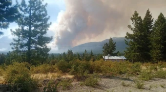 Incendios forestales en la Patagonia