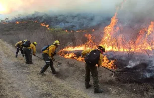 Incendio forestal de las Altas Montañas, Veracruz. Crédito: Secretaría De Protección Civil Del Estado de Veracruz