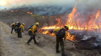 Incendio forestal de las Altas Montañas, Veracruz.