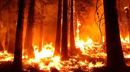 Santuario de Fátima donará miles de euros para damnificados por incendios en Portugal