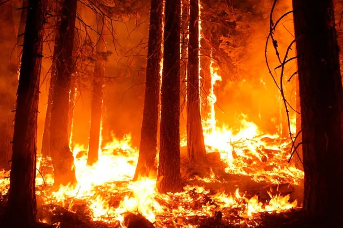 Santuario de Fátima donará miles de euros para damnificados por incendios en Portugal