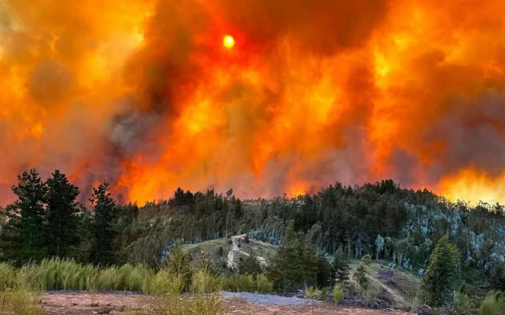 Incendios en Chile?w=200&h=150