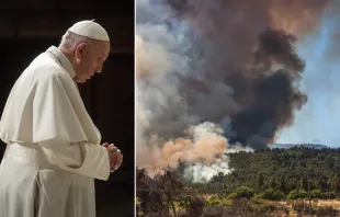 Papa Francisco / Incendio forestales en Chile. Crédito: Vatican Media / Shutterstock