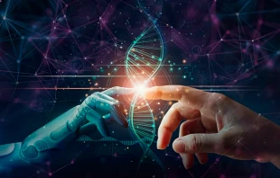 Imagen referencial. Crédito: Pixabay.