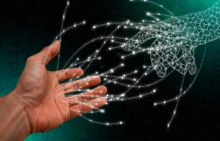 Imagen referencial Crédito: Gerd Altmann (Pixabay).