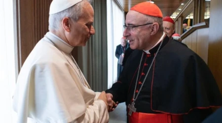 Cardenal Sturla durante un encuentro con el Papa León XIV en 2025