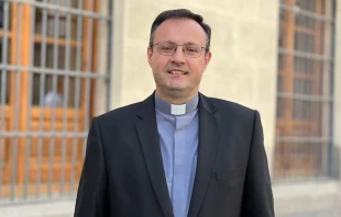 Mons. José Antonio Álvarez Sánchez, Obispo Auxiliar de Madrid. Crédito: CEE