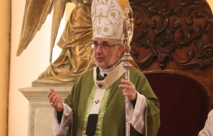 Mons. Javier Del Río Alba, Arzobispo de Arequipa (Perú). Crédito: Arzobispado de Arequipa.