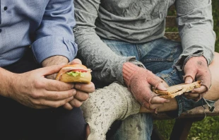 Imagen referencial Crédito: Pixabay