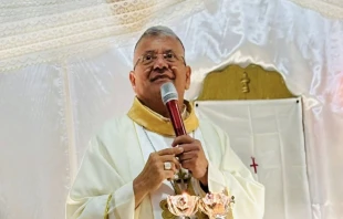 Mons. José Antonio Canales, Obispo Emérito de Danlí (Honduras). Crédito: José Antonio Canales Obispo.