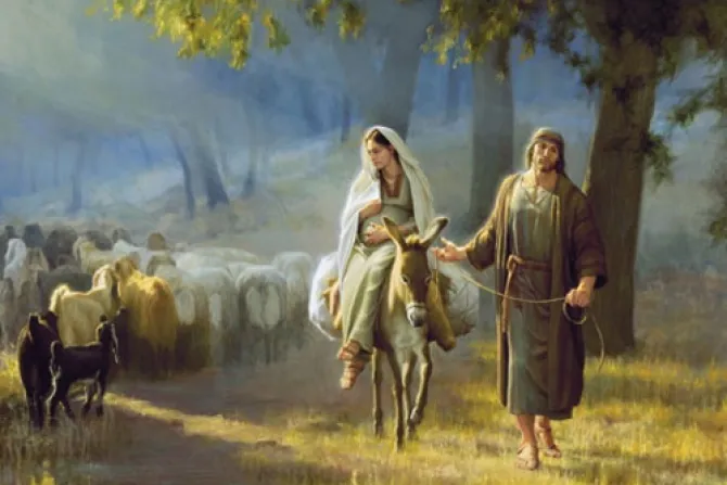 Último Ángelus antes de Navidad: Con María y José caminamos juntos a Belén, dice el Papa