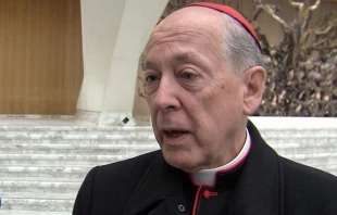 Cardenal Juan Luis Cipriani, entrevistado por ACI Prensa en febrero de 2015, en el Vaticano. Crédito: Captura de video / ACI Prensa.